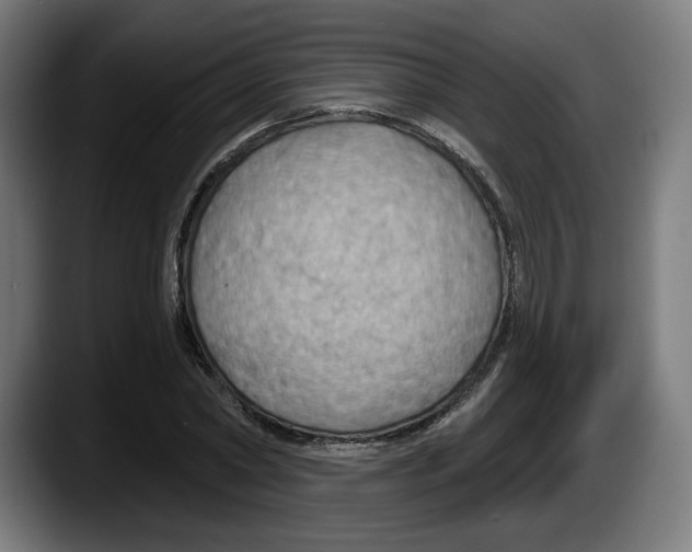 X0000087530782200705251658
