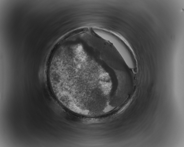 X0000087530783200705251658