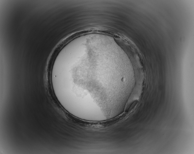 X0000087530784200705251658