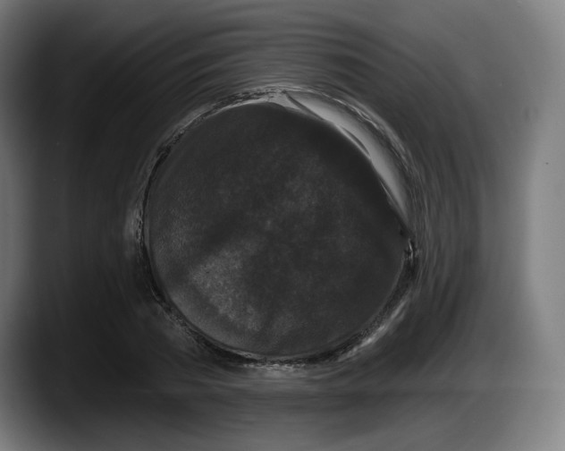 X0000087530785200705251658