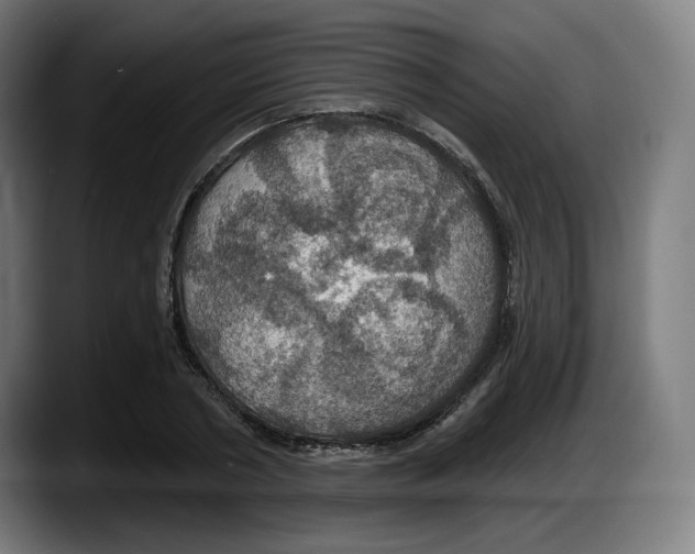 X0000087530786200705251658