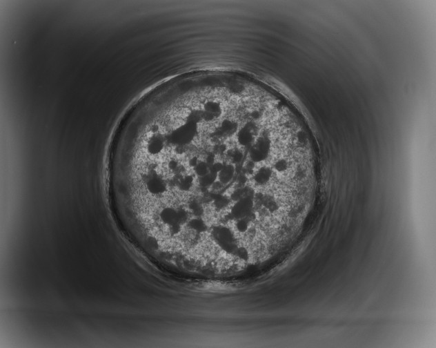 X0000087530787200705251658