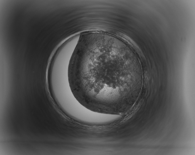 X0000087530788200705251658