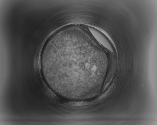 X0000087530791200705251658