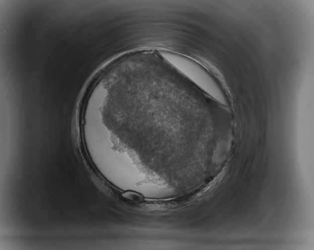 X0000087530792200705251658