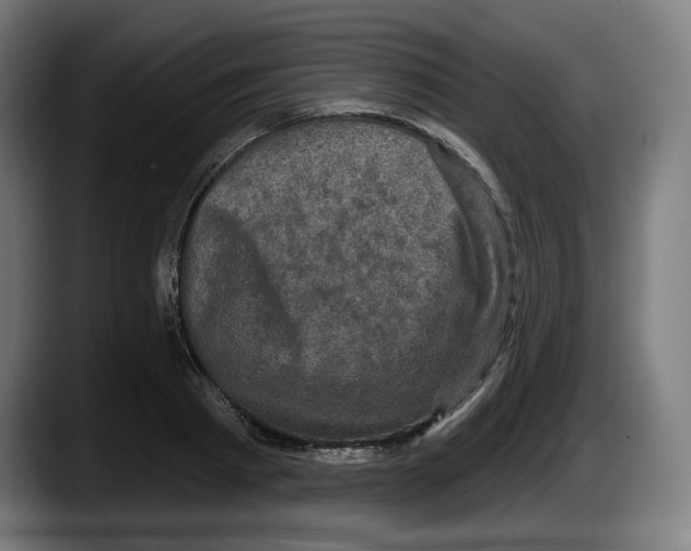 X0000087530793200705251658