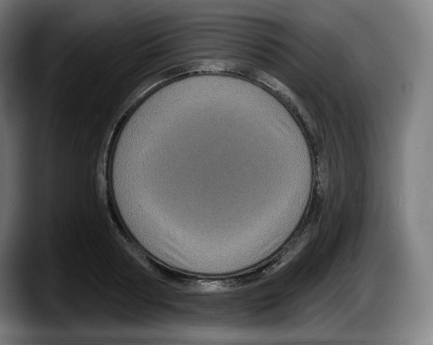 X0000087530794200705251658