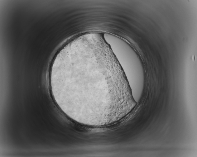 X0000087530796200705251658