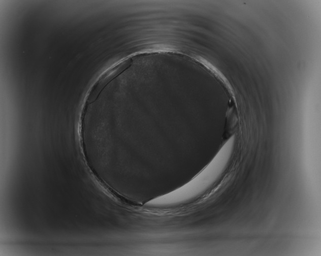 X0000087530797200705251658