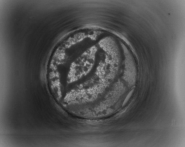 X0000087530799200705251658