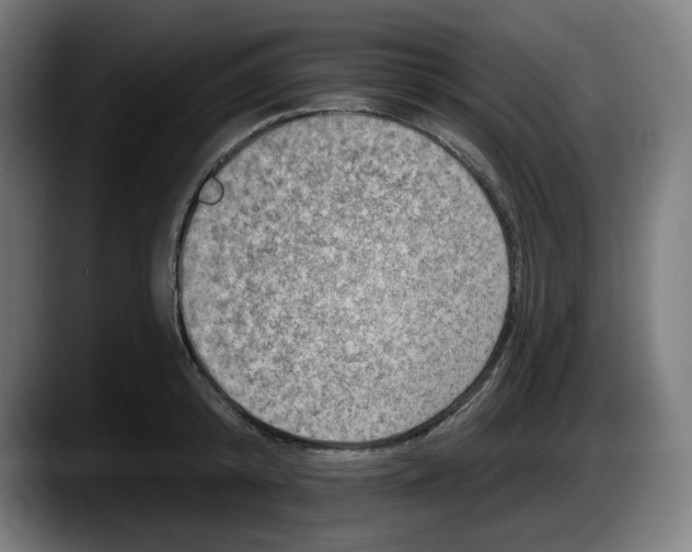 X0000087530800200705251658