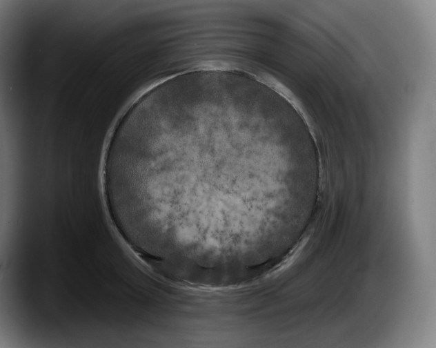 X0000087530803200705251658