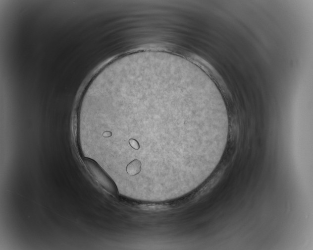 X0000087530804200705251658