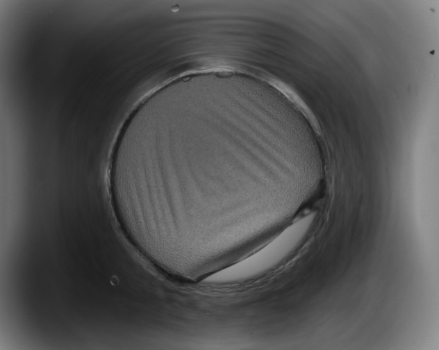 X0000087530805200705251658