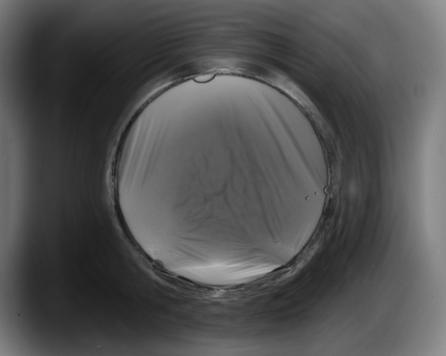 X0000087530806200705251658