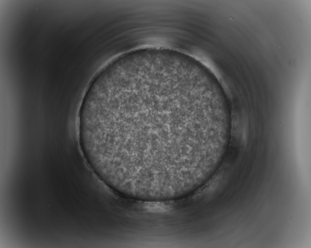 X0000087530807200705251658