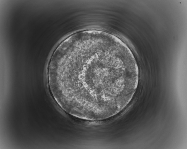 X0000087530808200705251658