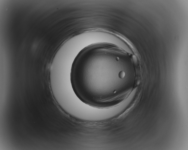 X0000087530809200705251658