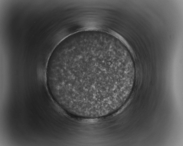 X0000087530810200705251658