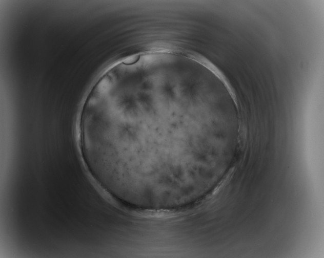 X0000087530811200705251658