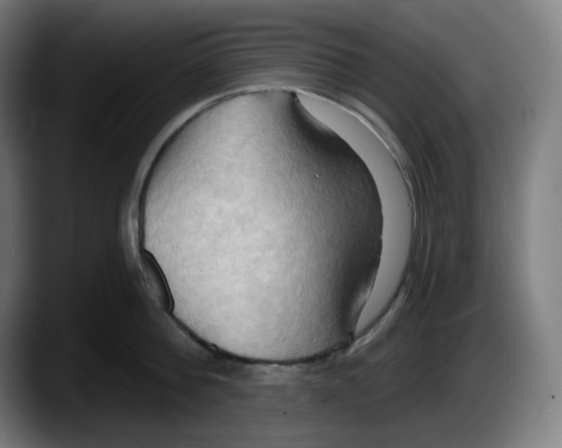 X0000087530812200705251658