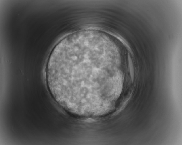 X0000087530814200705251658
