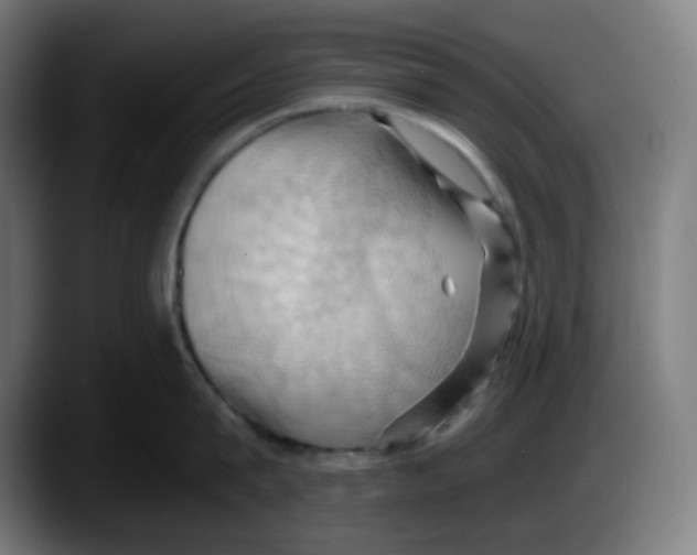 X0000087530815200705251658