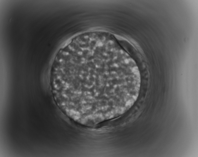 X0000087530816200705251658