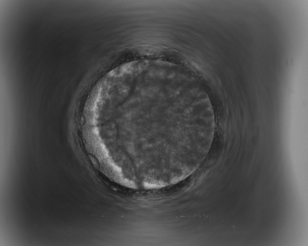 X0000087530817200705251657