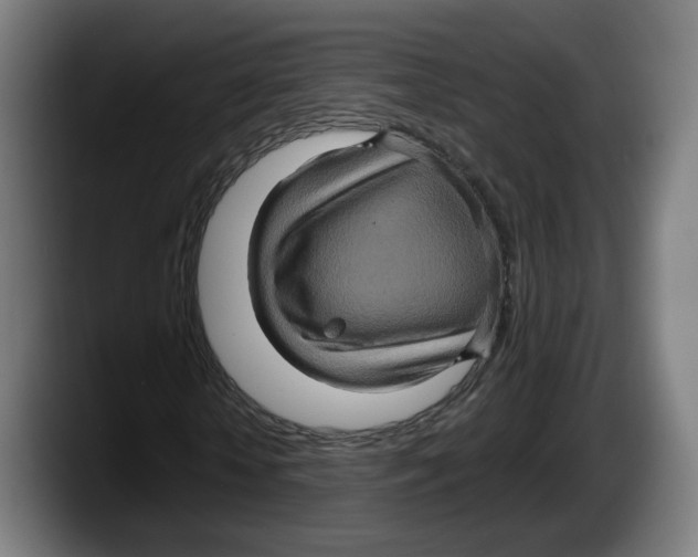 X0000087530818200705251657