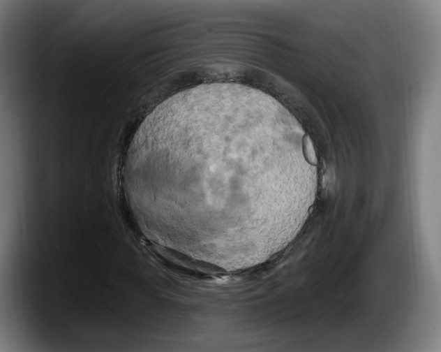 X0000087530819200705251657