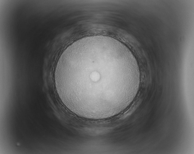 X0000087530820200705251657