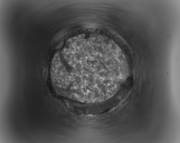 X0000087530821200705251657
