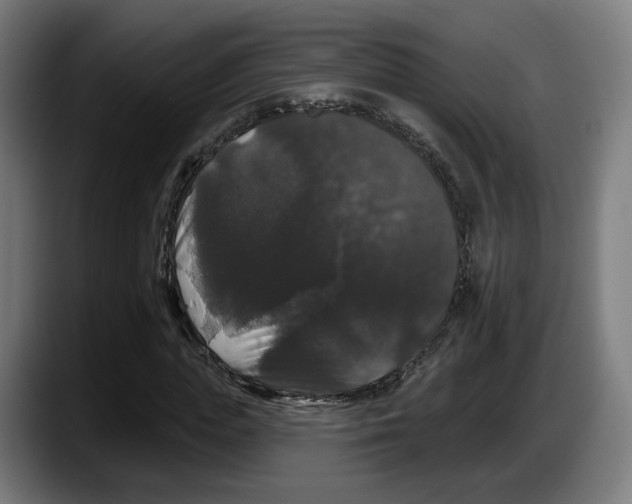 X0000087530823200705251657