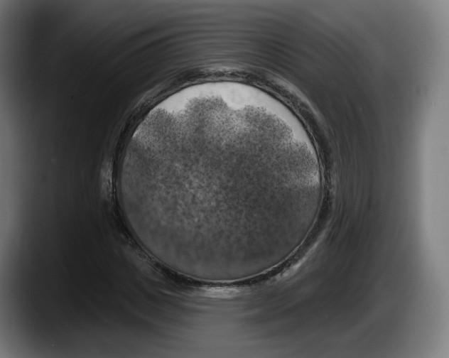 X0000087530825200705251657