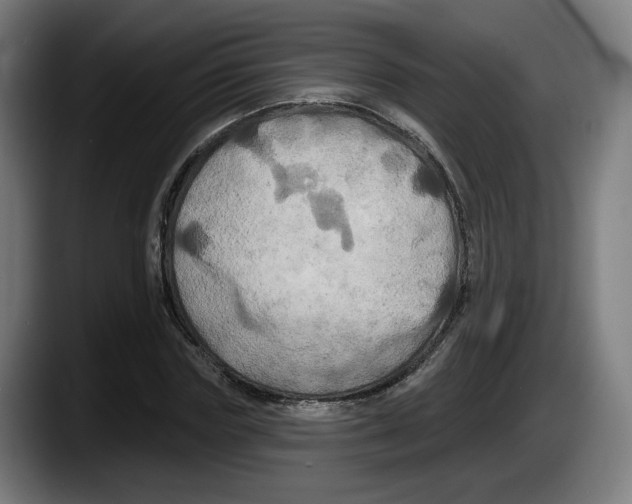X0000087530827200705251657