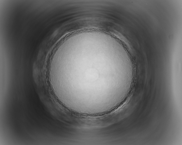 X0000087530828200705251657