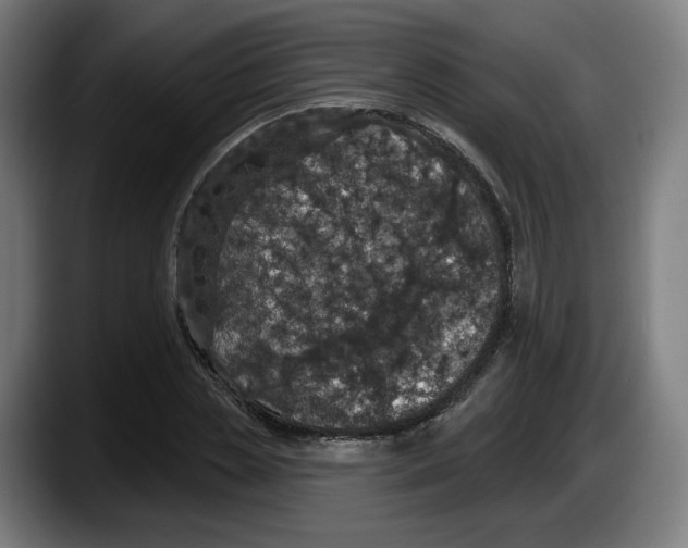 X0000087530829200705251657
