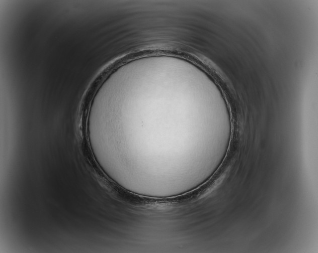 X0000087530830200705251657