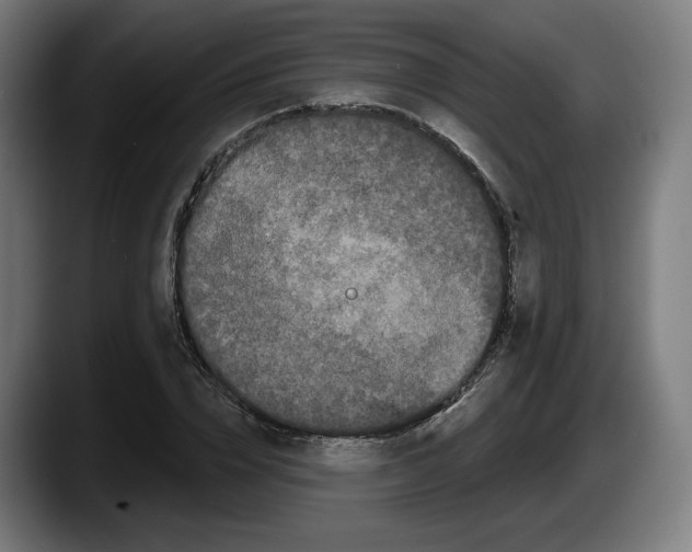 X0000087530832200705251657
