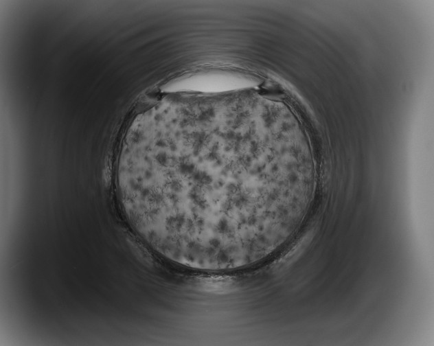 X0000087530833200705251657