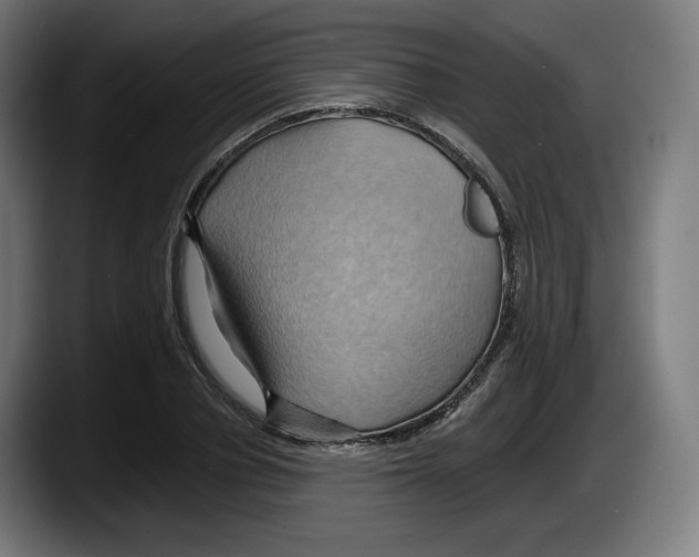 X0000087530834200705251657