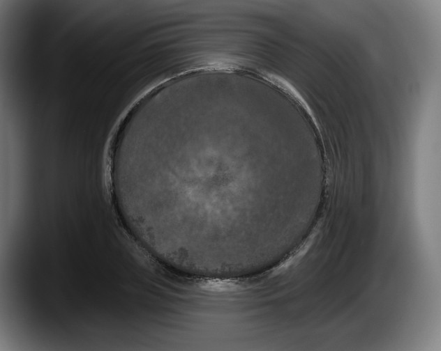 X0000087530835200705251657
