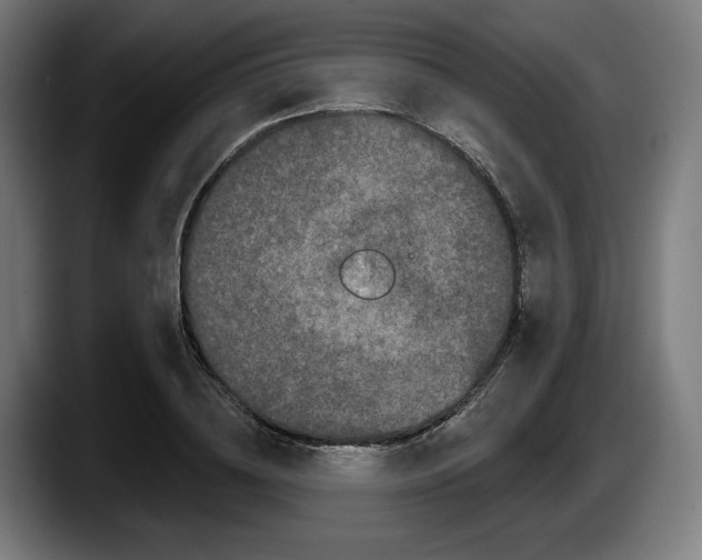 X0000087530836200705251658