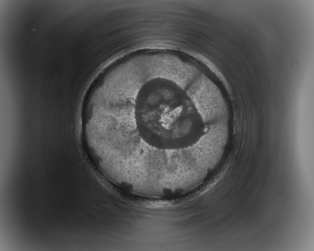 X0000087530837200705251658