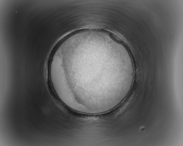 X0000087530838200705251658