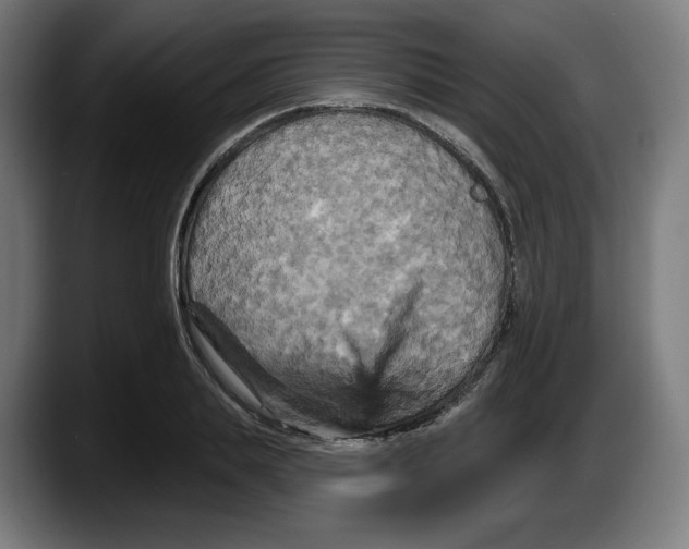 X0000087530839200705251658