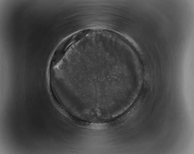 X0000087530840200705251658