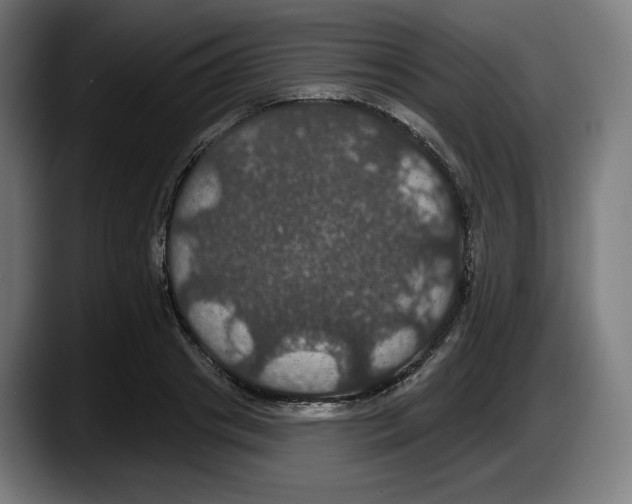 X0000087530841200705251658