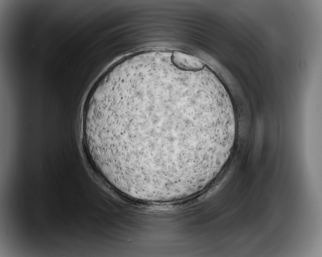 X0000087530844200705251658